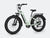 Velowave Ranger Step-Thru 3.0 Torque Sensor Electric Bike