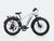 Velowave Ranger 3.0 Fat Tire All-Terrain Electric Bike