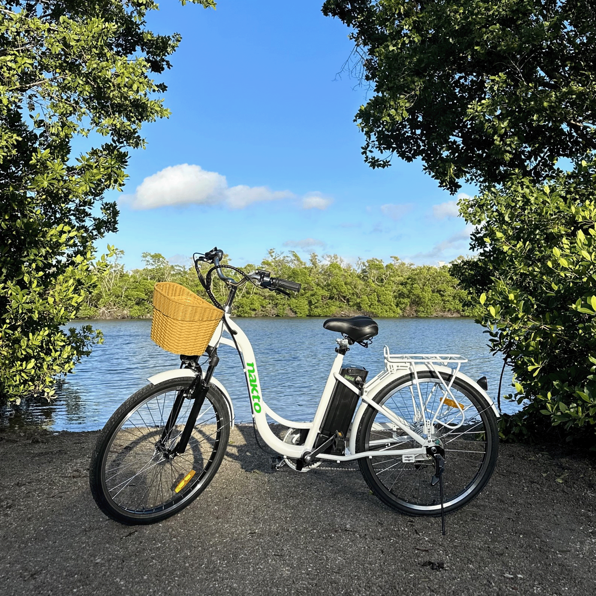 Nakto Camel Step-Thru Electric Bike