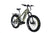 Bakcou Mule Electric Bike