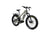 Bakcou Mule Electric Bike