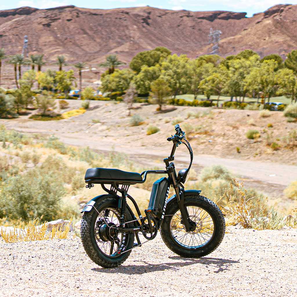 Nakto F2 Fat Tire Electric Bike - Top Speed 28mph