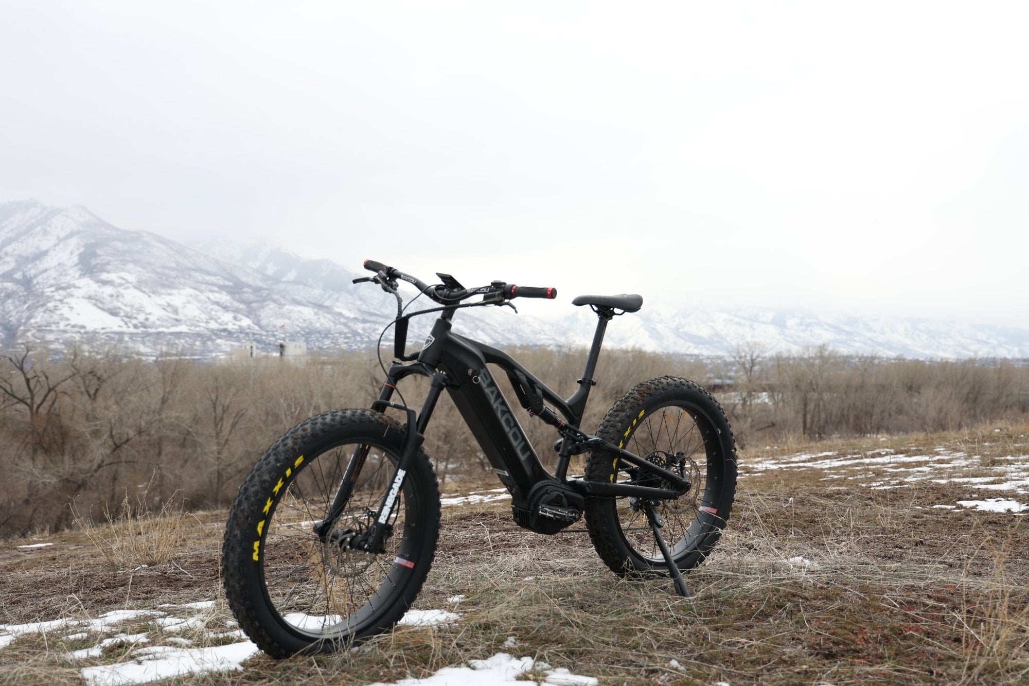 Bakcou Scout Electric Bike